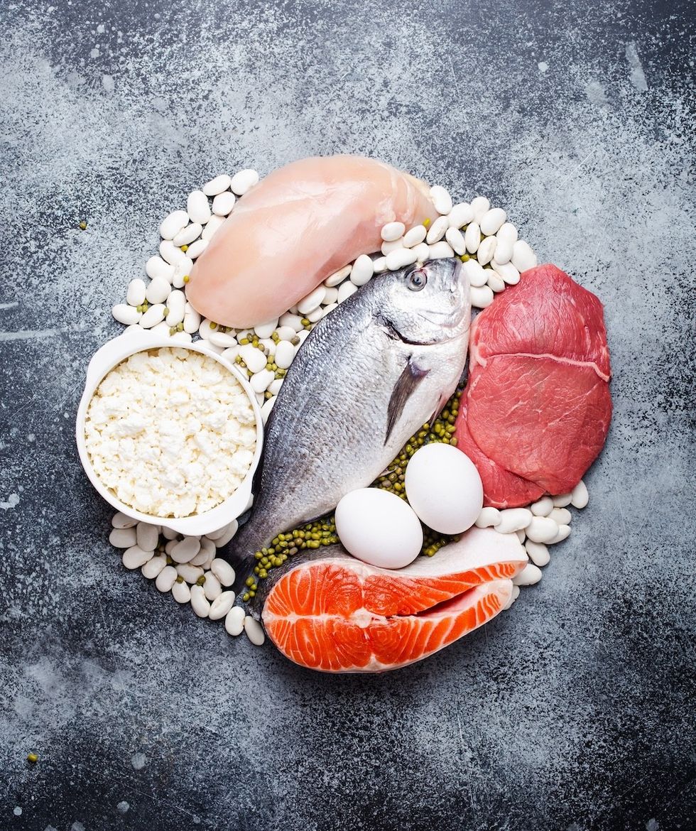 Stock photo of different types of protein.