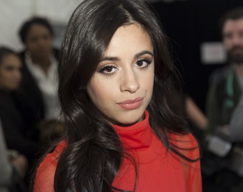 Camila Cabello Shares Bikini Selfie With Inspiring Message