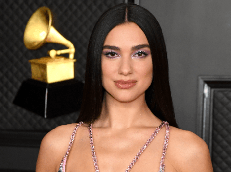 Dua Lipa Flaunts Abs in Butterfly Crop Top 
