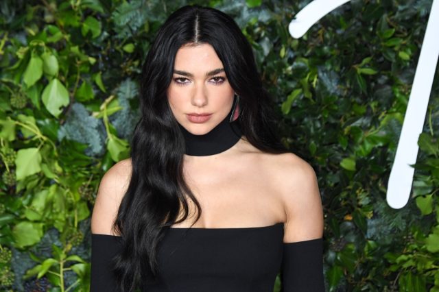 Dua Lipa in Bathing Suit Enjoys “Island Time” — Celebwell