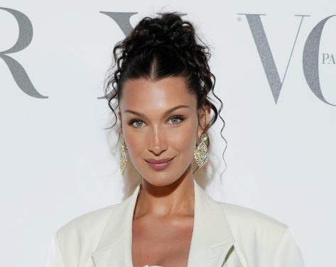 Bella Hadid in Bathing Suit Top is “Animal Whisperer” 