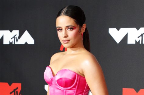 Camila Cabello in Bathing Suit Shares “My Mood Today!”