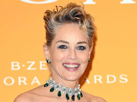 Sharon Stone in Bathing Suit Says Hi From Paradise