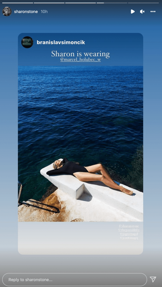 Sharon Stone in Bathing Suit Says Hi From Paradise — Celebwell