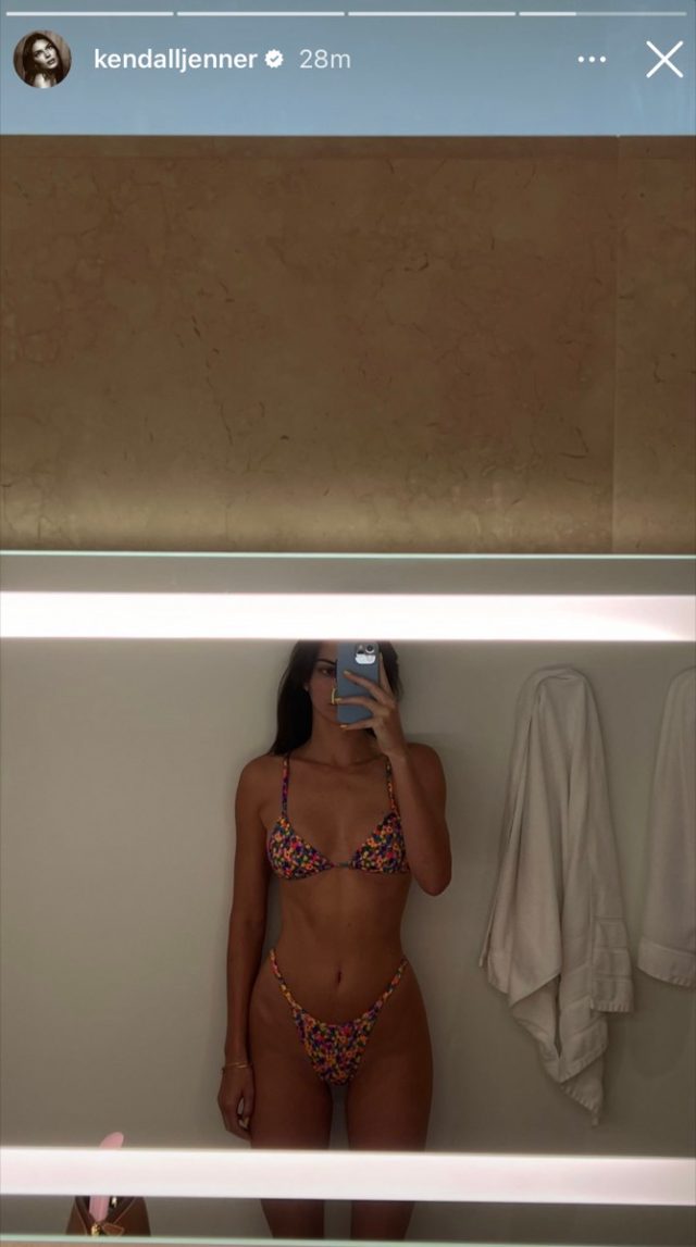 Kendall Jenner Shows Off Her Lingerie in Bedtime Selfies: Pics