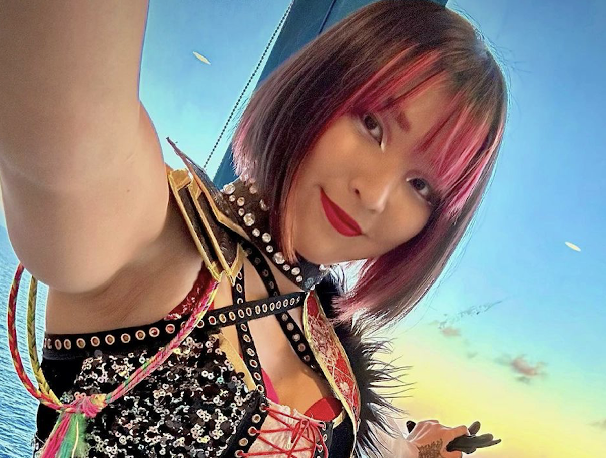 Hikaru Shida In Bathing Suit Is Perfect Celebwell