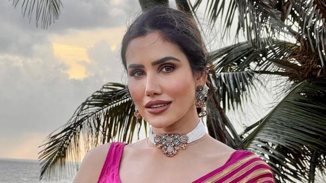 Sonnalli seygall