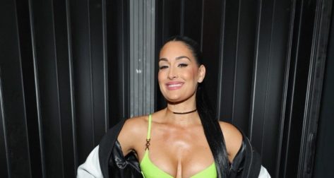 WWE Diva & The Traitors’ Nikki Bella In Bikini Stuns At Fanatics Fest