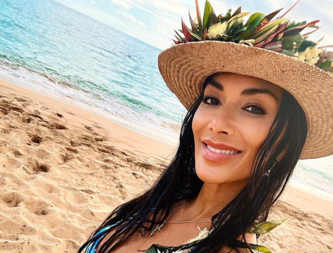 Nicole Scherzinger Shares New Swimsuit Video