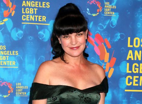20 Amazing Bodies of NCIS Stars