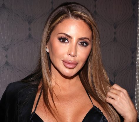 Influencer Larsa Pippen Shares Swimsuit Photo Saying "Do Not Disturb"