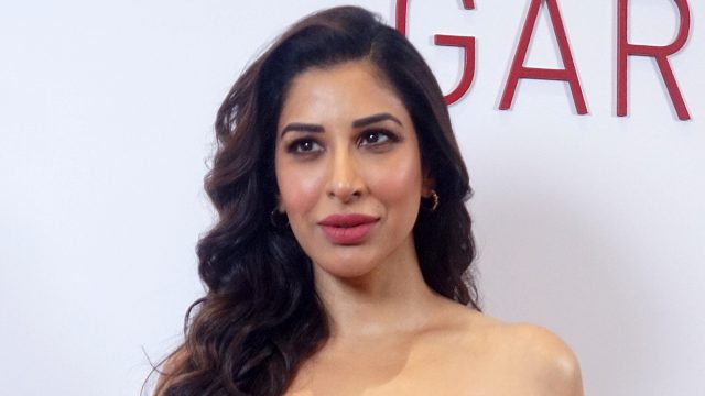 Entertainment In India – May 2024