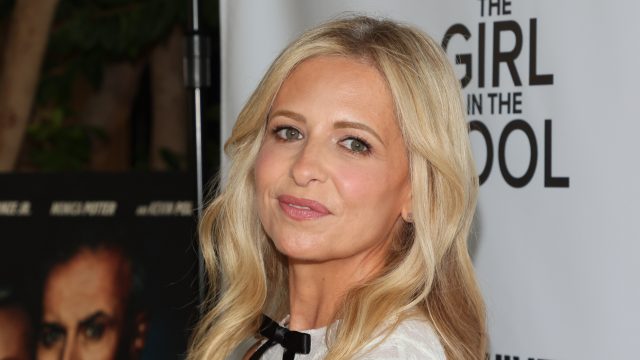 Los Angeles Premiere Of “The Girl In The Pool”