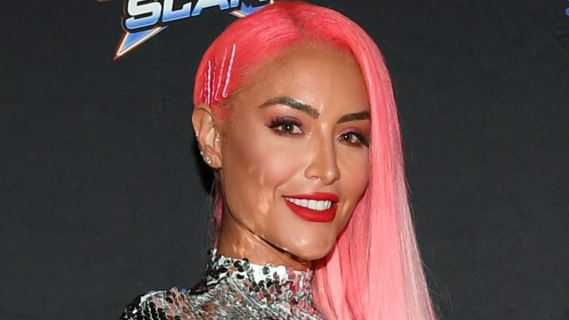 WWE SummerSlam After Party Red Carpet