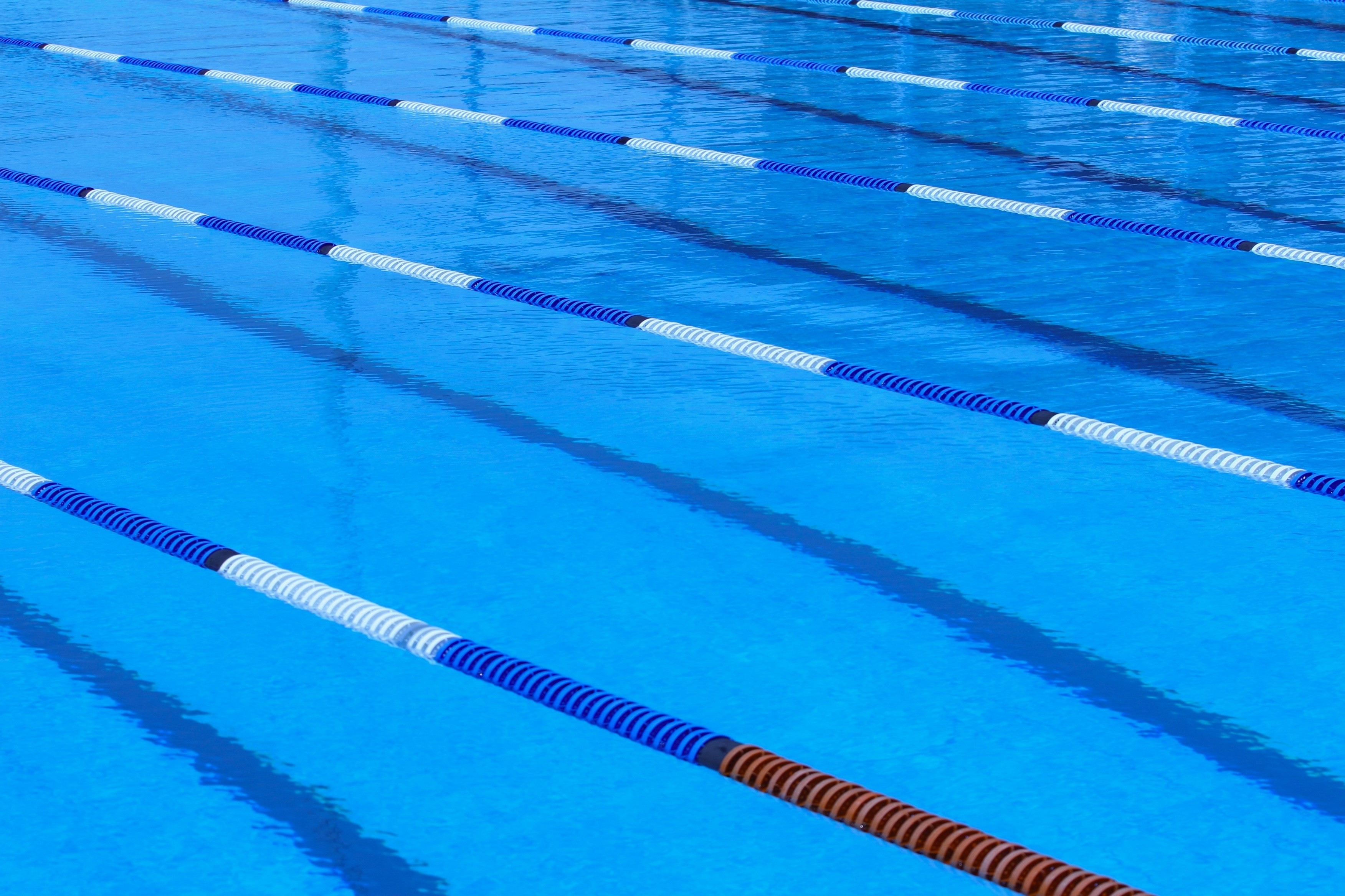 Olympic swimming pool with rope lanes.