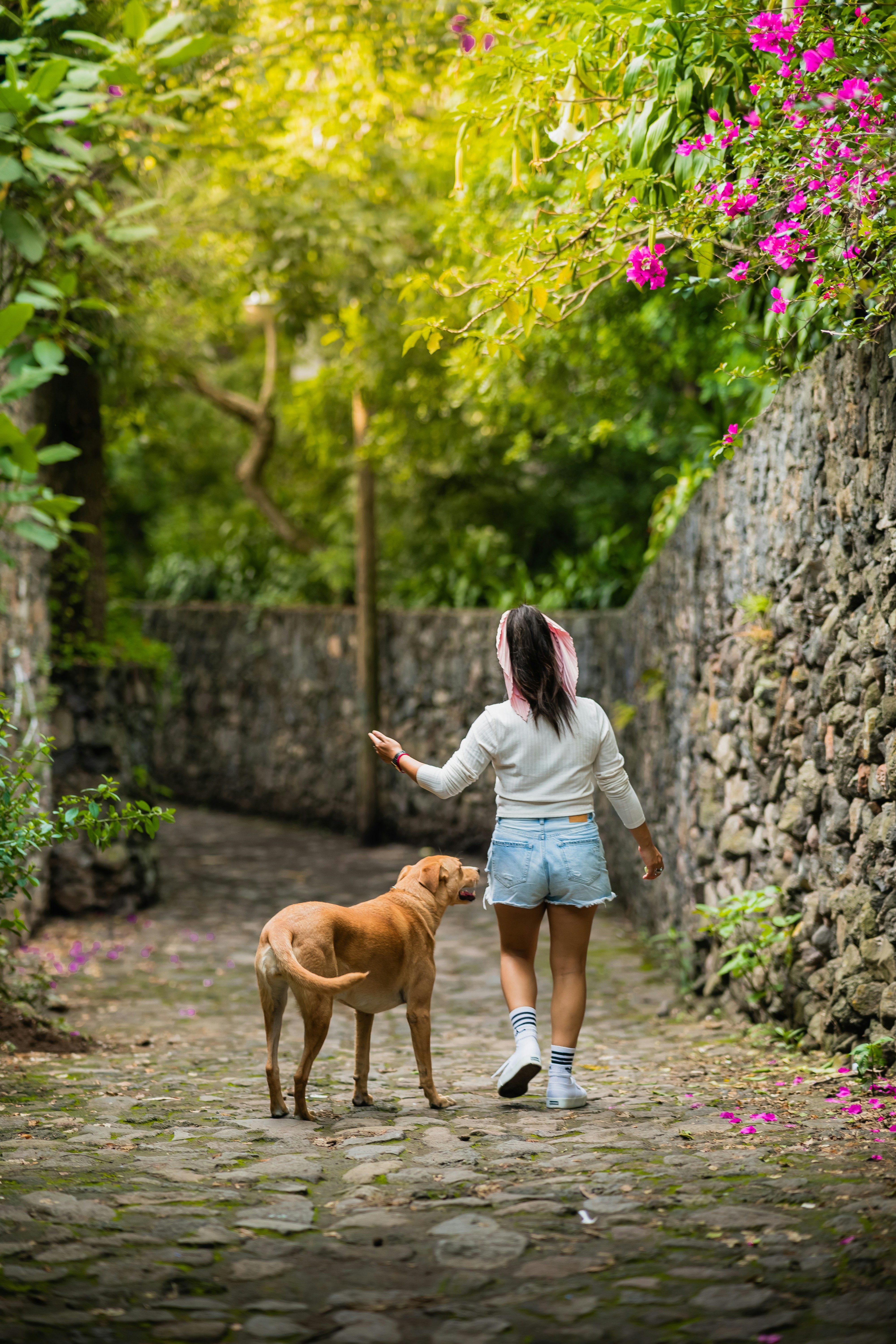 a person walking a dog