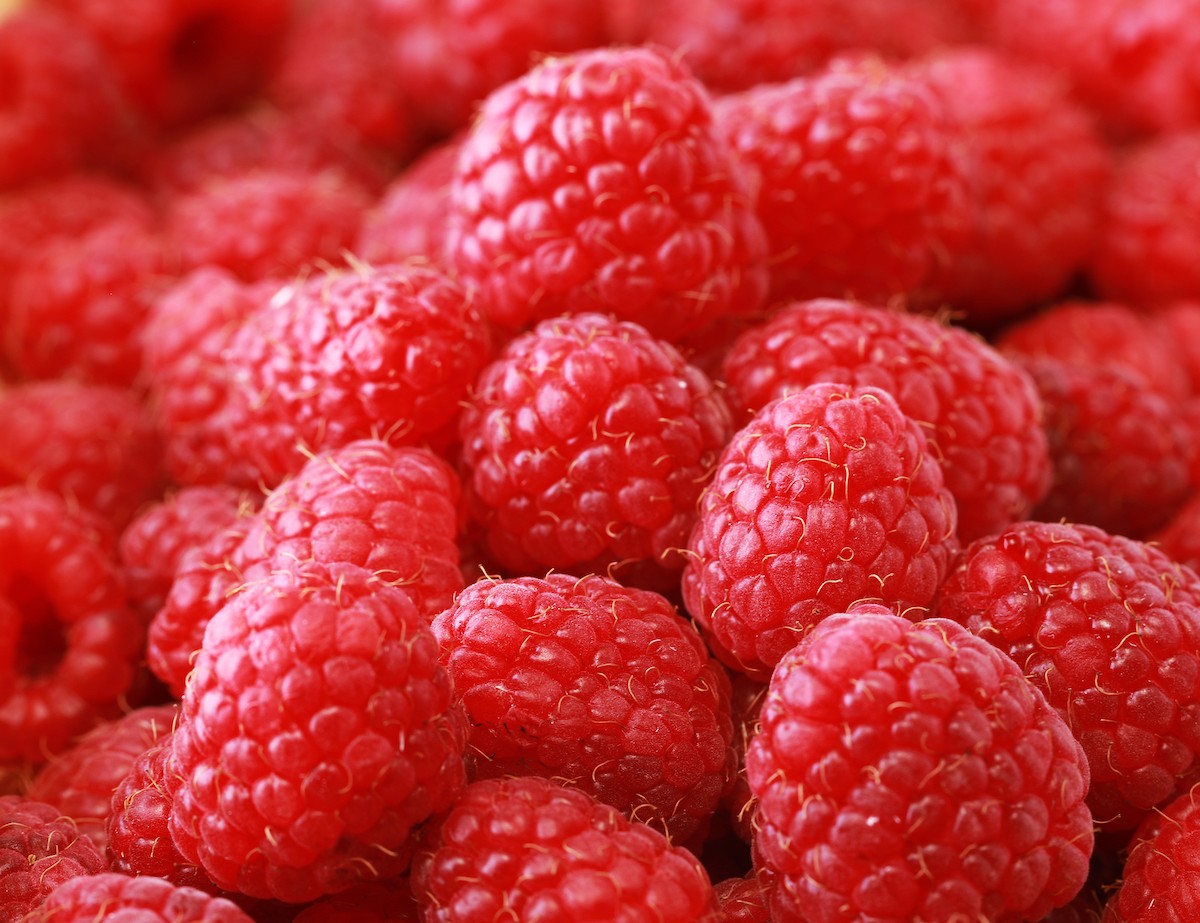 Sweet,Red,Raspberries,As,A,Background,,Close,Up