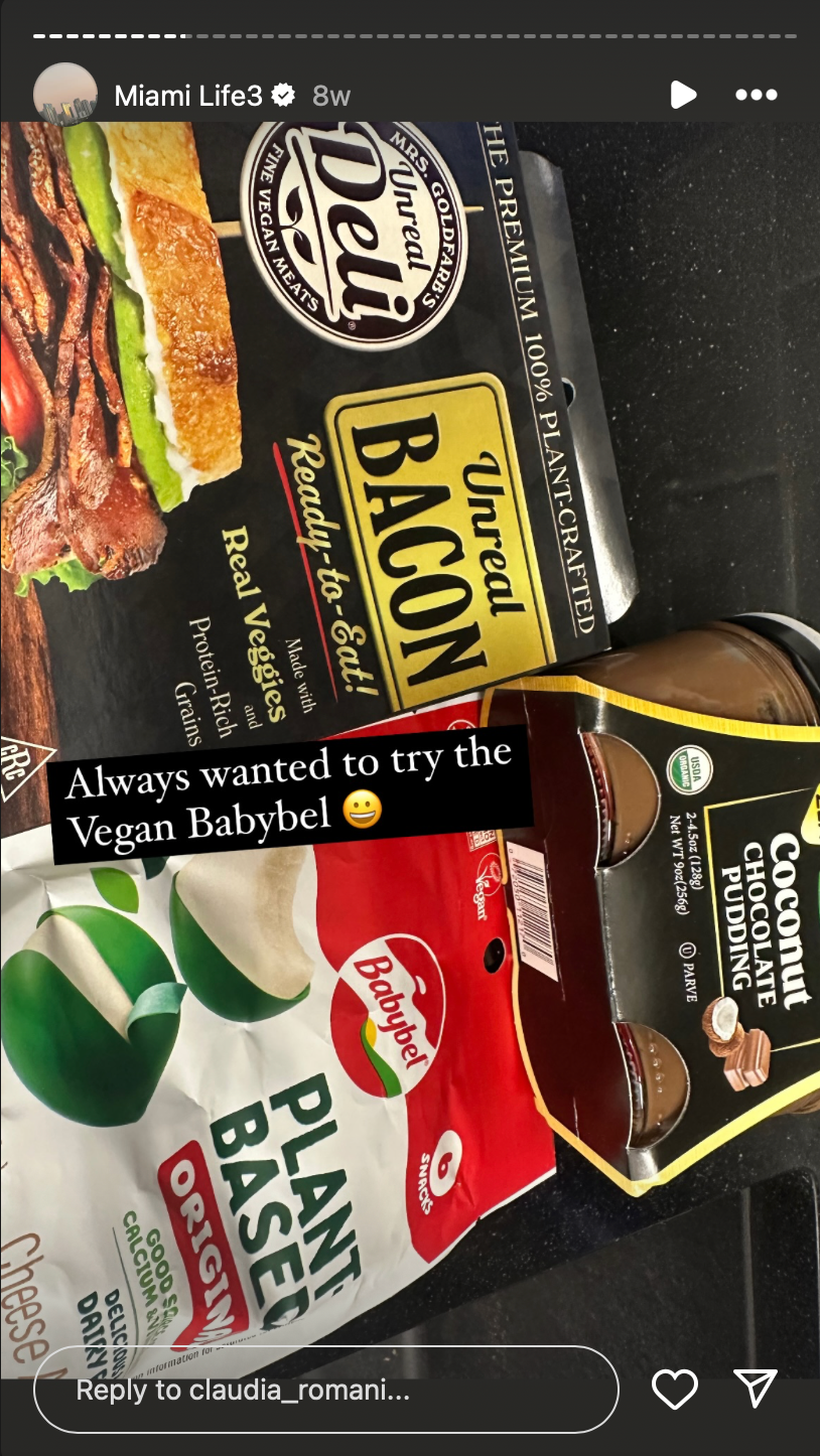 Vegan food, vegan bacon, vegan cheese, vegan chocolate pudding