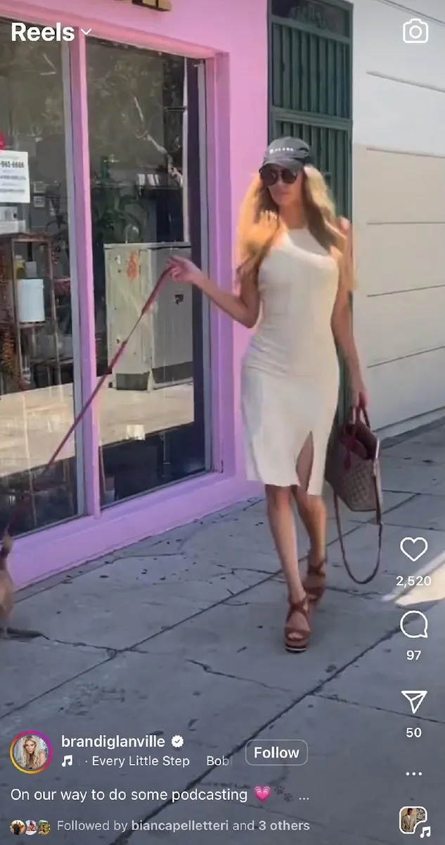 Brandi is seen walking her dog