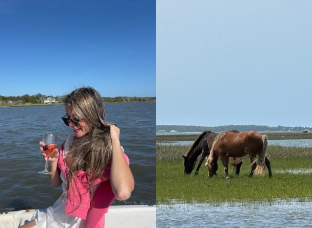 split image of boat ride and sea horses